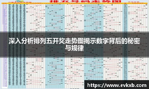 深入分析排列五开奖走势图揭示数字背后的秘密与规律