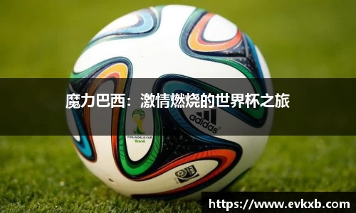 魔力巴西：激情燃烧的世界杯之旅