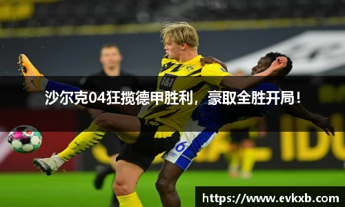 沙尔克04狂揽德甲胜利，豪取全胜开局！